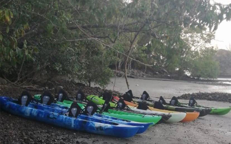 our kayaks are safe and overall made to enjoy bioluminescence
