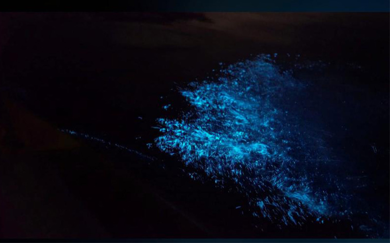 splash of lights, in  Paquera the closest town to enjoy bioluminescence